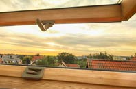 rated West Ilsley roof window companies